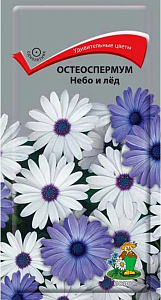 Остеоспермум (маргаритка капская)_Небо и Лед_0,1_г._Евросемена