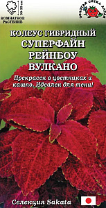 Колеус_Суперфайн Рейнбоу Вулкано_10_шт._Золотая Сотка Алтая