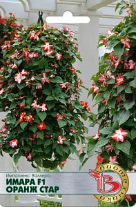 Бальзамин_Валлера Имара F1 Оранж Стар_0,04_шт._Биотехника