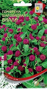 Гомфрена_Красная Вилли_30_шт._Дом Семян С-П