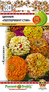 Цинния_Пепперминт Стик см_30_шт._НК