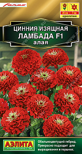 Цинния_Ламбада F1 Алая (Золотая серия)_12_шт._Аэлита