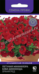 Петуния_Джоконда Бэби Оранж Ред (профи Farao)_10_шт._Поиск