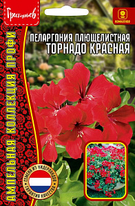 Герань (Пеларгония)_Торнадо Красная (плющелистная) б/ф_3_шт._Григорьев