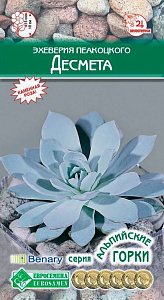 Эхеверия (толстянка)_Десмета (Пеакоцкого )_5_шт._Евросемена