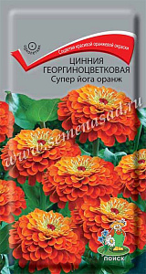 Цинния_Супер йога Оранж_0,4_г._Поиск