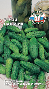 Огурец_Пальчик_0,3_г._Седек