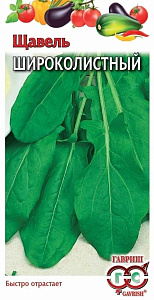 Щавель_Широколистный  Б/П_0,5_г._Гавриш