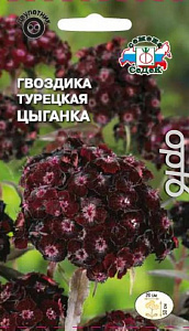Гвоздика_Цыганка (турецкая, интенсивно-пурпурная)_0,04_г._Седек