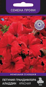 Петуния_Аладдин F1 Красная (грандифлора)_30_шт._Поиск