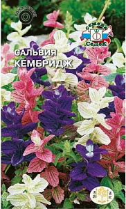 Сальвия_Кембридж см (хорминовая)_0,3_г._Седек