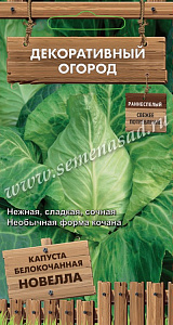 Капуста_б/к_Новелла (Декоративный огород)_0,1_г._Поиск