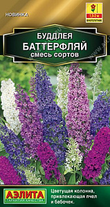 Буддлея_Баттерфляй см_8_шт._Аэлита