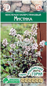 Пенстемон_Мистика (наперстянковый)_5_шт._Евросемена