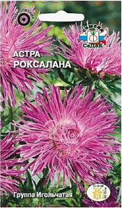 Астра_Роксалана (игольчатая, сиренево-розовая)_0,2_г._Седек