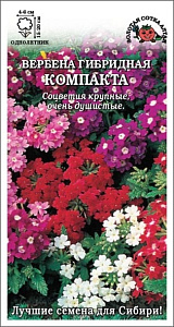 Вербена_Компакта см_0,1_г._Золотая Сотка Алтая