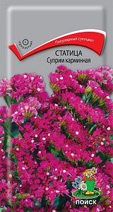 Статица (лимониум)_Суприм Карминовая_0,2_г._Поиск