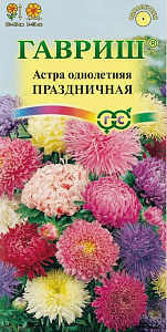 Астра_Праздничная (махр) см_0,3_г._Гавриш