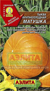 Тыква_Матушка_1_г._Аэлита