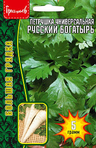Петрушка_Русский Богатырь (универсальная) б/ф_5_г._Григорьев
