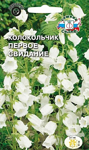 Колокольчик_Первое Свидание (средний белый)_0,04_г._Седек