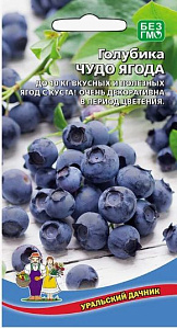Голубика_Чудо Ягода_20_шт._Уральский Дачник
