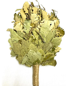 Веник дубовый КАВКАЗКИЙ+ручка джут