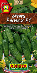Огурец_Ежики F1_10_шт._Аэлита
