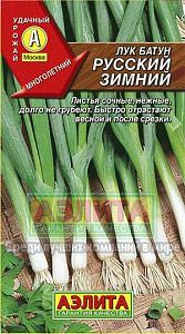 Лук_Русский Зимний (батун многолетний)_1_г._Аэлита
