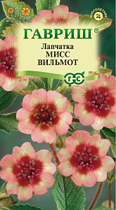 Лапчатка_Мисс Вилмот_0,01_г._Гавриш