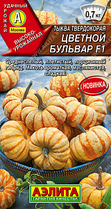 Тыква_Цветной Бульвар F1_5_шт._Аэлита