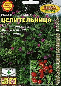 Роза_Целительница (морщинистая)_0,3_г._Аэлита Э