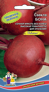 Свекла_Бона_2_г._Уральский Дачник