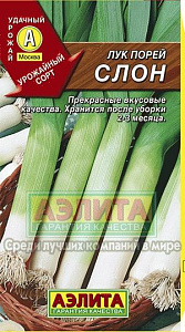 Лук_Слон (порей)_1_г._Аэлита