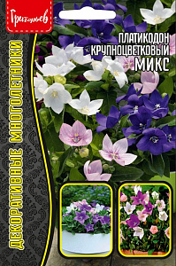 Колокольчик_Крупноцветковый см (платикодон) б/ф_25_шт._Григорьев