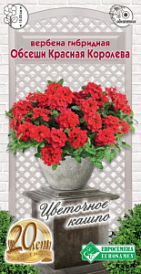 Вербена_Обсешн Красная Королева (Подвесные Корзины)_5_шт._ЕВРОСЕМЕНА