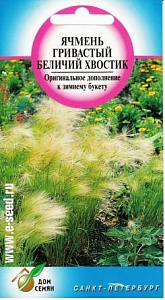 Ячмень_Гривастый (злак)_35_шт._Дом Семян С-П