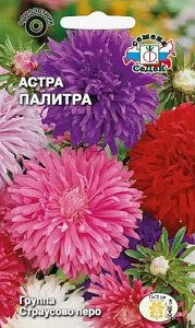 Астра_Палитра см (страусово перо)_0,2_г._Седек