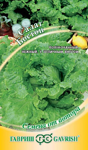 Салат_Бостон (п/кочан)_0,5_г._Гавриш