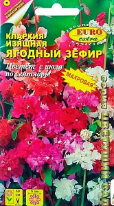 Кларкия_Ягодный зефир см_0,2_г._Аэлита Э