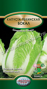 Капуста_пекинская_Бокал (ран)_0,5_г._Поиск