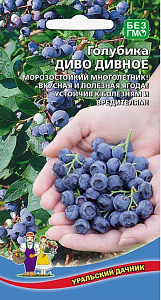 Голубика_Диво Дивное_30_шт._Уральский Дачник
