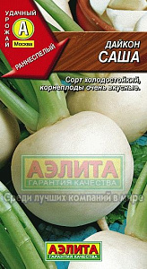 Дайкон_Саша_1_г._Аэлита