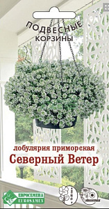 Алиссум (лобулярия)_Северный Ветер (Подвесные Корзины	)_0,04_г._ЕВРОСЕМЕНА