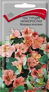 Настурция_Малышка лососевая_1_г._Поиск