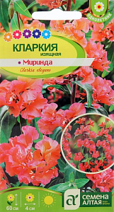 Кларкия_Изящная Миринда_0,3_г._Семена Алтая