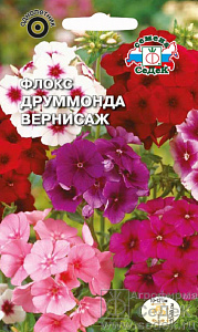 Флокс_Вернисаж см_0,3_г._Седек