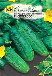 Огурец_Семкросс F1_1_г._Семко