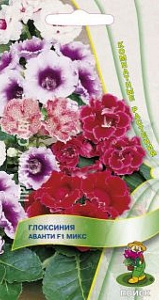 Глоксиния_Аванти микс F1_5_шт._Поиск