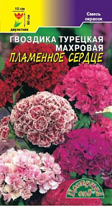 Гвоздика_Пламенное сердце махр см (турецкая)_0,2_г._Цветущий Сад